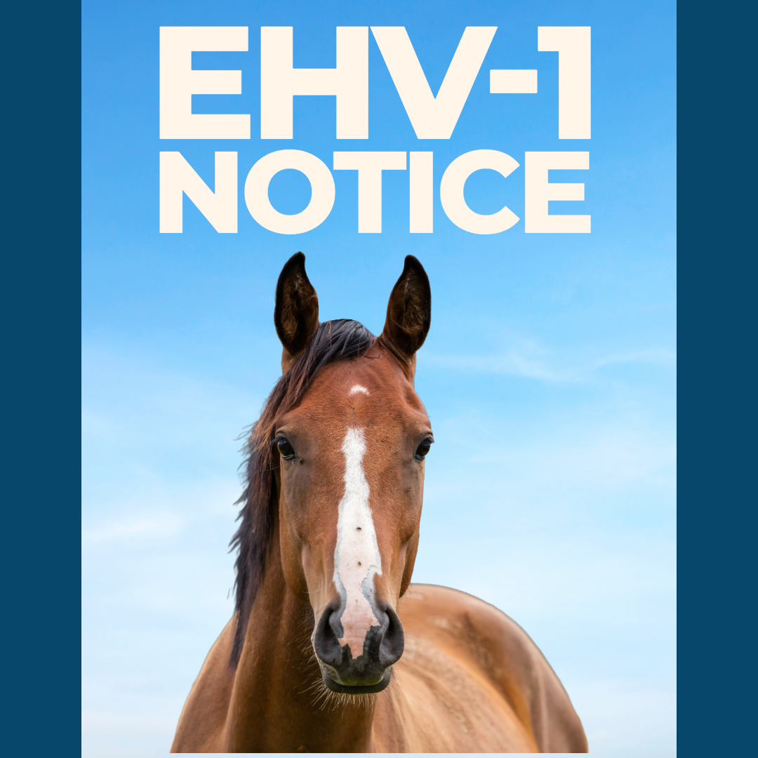 Horse Owners: EHV-1 Alert